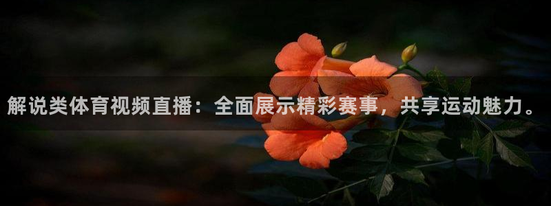 解说类体育视频直播：全面展示精彩赛事，共享运动魅力。
