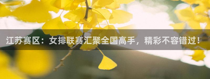 江苏赛区：女排联赛汇聚全国高手，精彩不容错过！