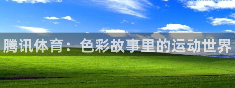 腾讯体育：色彩故事里的运动世界