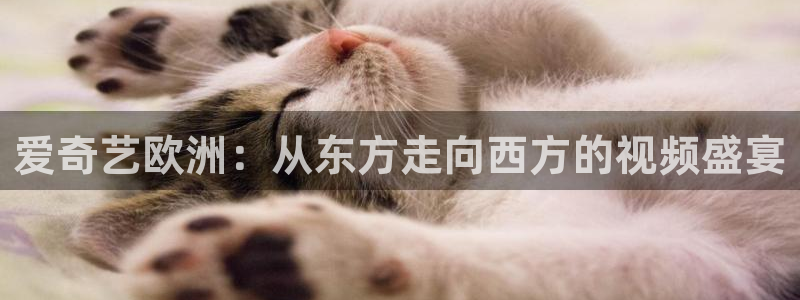 爱奇艺欧洲：从东方走向西方的视频盛宴