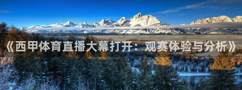 《西甲体育直播大幕打开：观赛体验与分析》