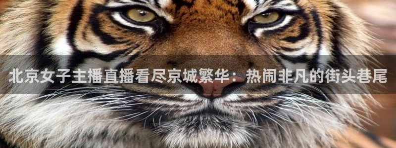 北京女子主播直播看尽京城繁华：热闹非凡的街头巷尾