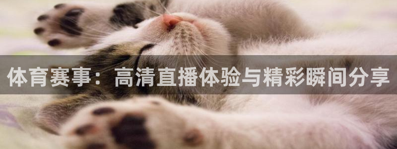 体育赛事：高清直播体验与精彩瞬间分享