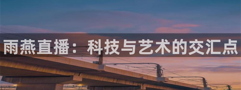 雨燕直播：科技与艺术的交汇点