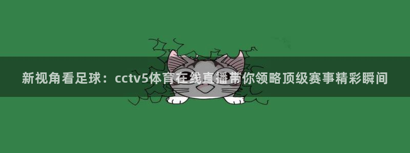 新视角看足球：cctv5体育在线直播带你领略顶级赛事精彩瞬间