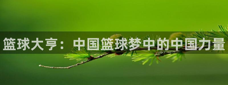 篮球大亨：中国篮球梦中的中国力量