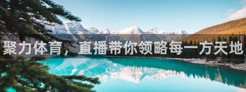 聚力体育，直播带你领略每一方天地