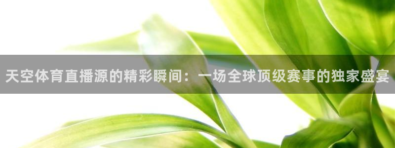 天空体育直播源的精彩瞬间：一场全球顶级赛事的独家盛宴
