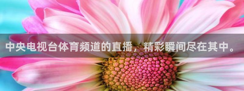 中央电视台体育频道的直播，精彩瞬间尽在其中。
