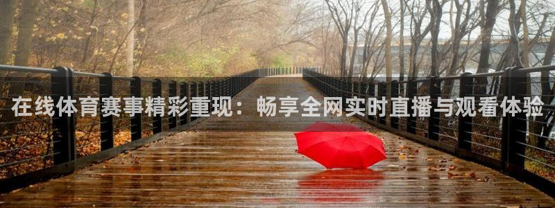在线体育赛事精彩重现：畅享全网实时直播与观看体验