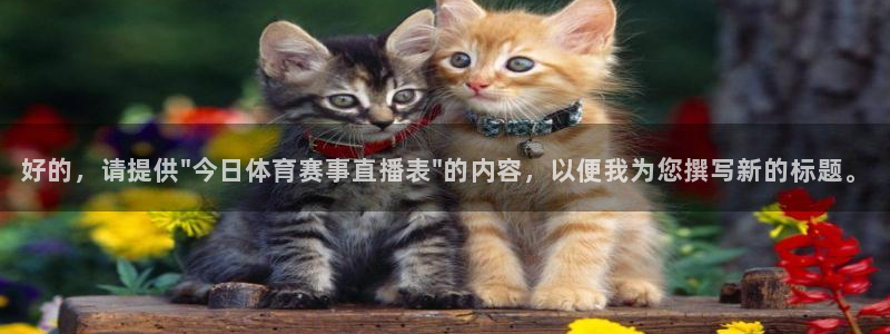 好的，请提供\