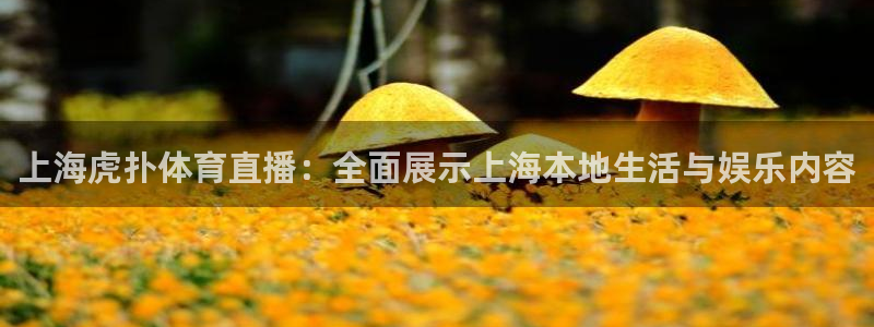 上海虎扑体育直播：全面展示上海本地生活与娱乐内容