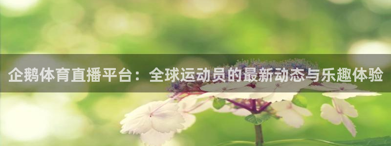 企鹅体育直播平台：全球运动员的最新动态与乐趣体验
