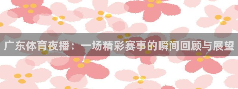 广东体育夜播：一场精彩赛事的瞬间回顾与展望
