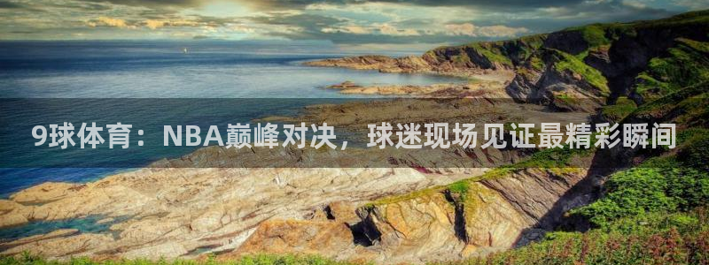 9球体育：NBA巅峰对决，球迷现场见证最精彩瞬间