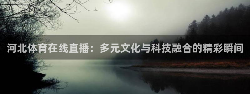 河北体育在线直播：多元文化与科技融合的精彩瞬间