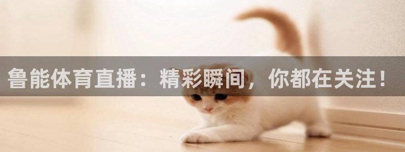 鲁能体育直播：精彩瞬间，你都在关注！