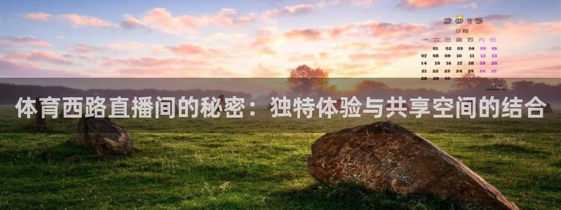 体育西路直播间的秘密：独特体验与共享空间的结合