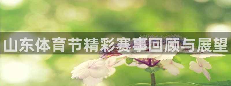 山东体育节精彩赛事回顾与展望