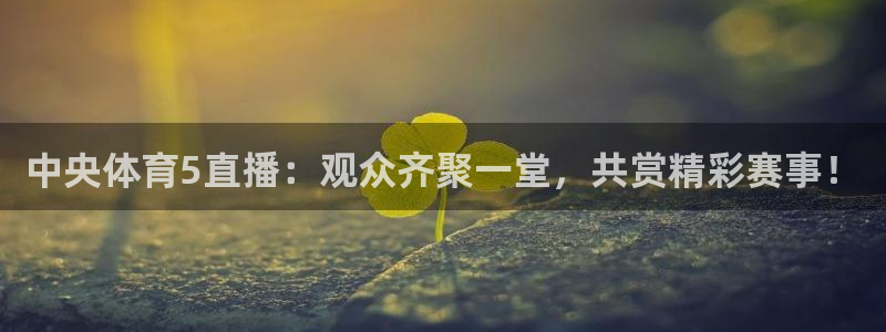 中央体育5直播：观众齐聚一堂，共赏精彩赛事！