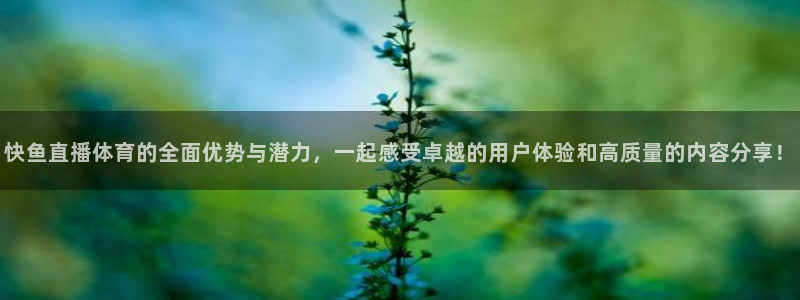 快鱼直播体育的全面优势与潜力，一起感受卓越的用户体验和高质量的内容分享！