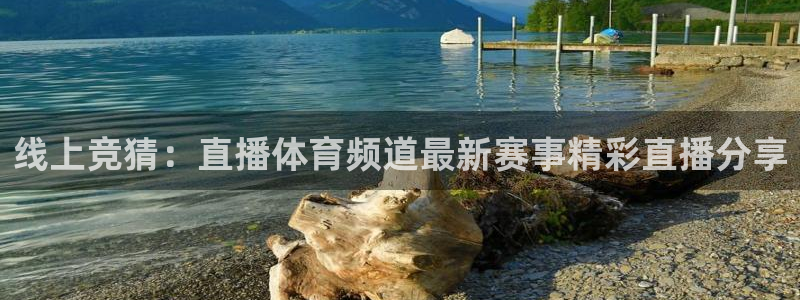 线上竞猜：直播体育频道最新赛事精彩直播分享