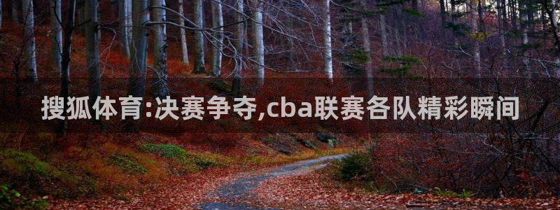 搜狐体育:决赛争夺,cba联赛各队精彩瞬间
