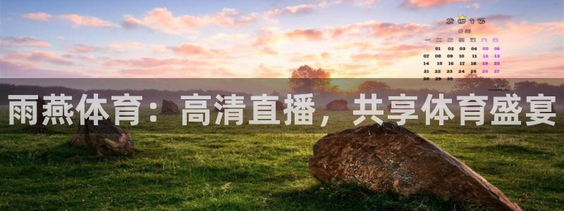 雨燕体育：高清直播，共享体育盛宴