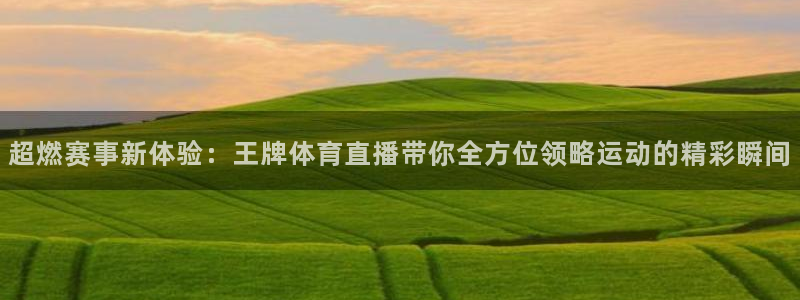 超燃赛事新体验：王牌体育直播带你全方位领略运动的精彩瞬间